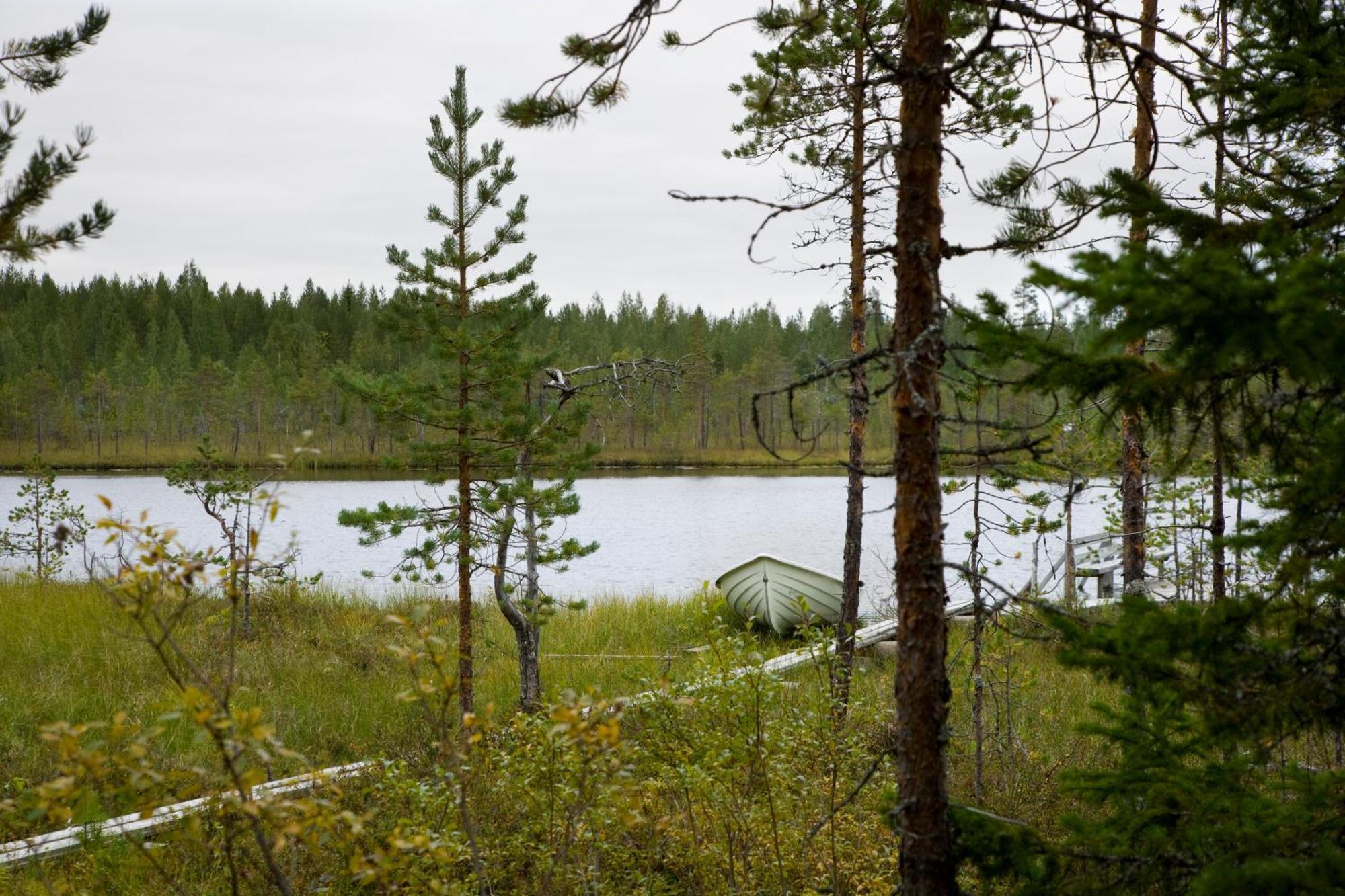 Willa Ukonloma Haerkaelampi Rovaniemi Zewnętrze zdjęcie